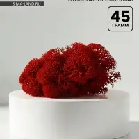 Мох стабилизированный &laquo;Красный&raquo; 45 г (&plusmn;5 г).