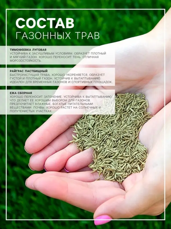 Газонная травосмесь &laquo;Городская&raquo;, 10 кг