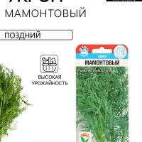 Семена Укроп "Мамонтовый", 1 г