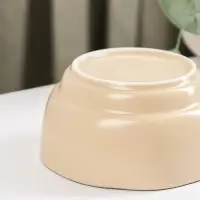 Миска керамическая «Крем», 300 мл, 11×5,5 см, цвет бежевый Миска керамическая «Крем», 300 мл, 11×5,5 см, цвет бежевый