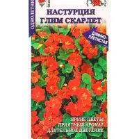Семена Настурция Глим Скарлет /Сотка/ 0,5г/ h-250см, d-5см/*500