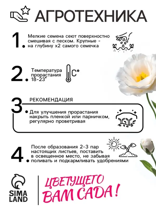 Семена цветов Эустома &laquo;Сапфир&raquo;, F1, белая крупноцветковая, 5 шт., &laquo;Аэлита&raquo; селекция PanAmerican Seed