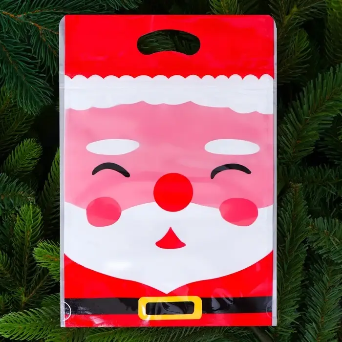 Пакет подарочный, с zip-lock застежкой,  Пакет подарочный, с zip-lock застежкой, "Дед Мороз", 15х23 ± 1см.