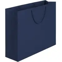 Пакет бумажный Ample Plus L, синий