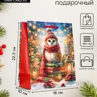 Пакет подарочный новогодний ламинированный, &laquo;Сова&raquo;, 18&times;10&times;22.3 см
