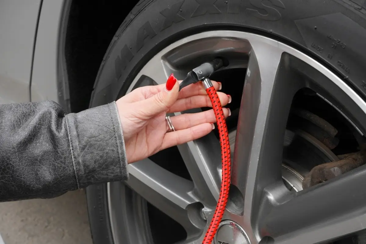 Насос механический двухцилиндровый AVS FP02