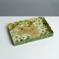 Коробка для печенья, кондитерская упаковка с PVC крышкой, «Пчёлка», 22 х 15 х 3 см