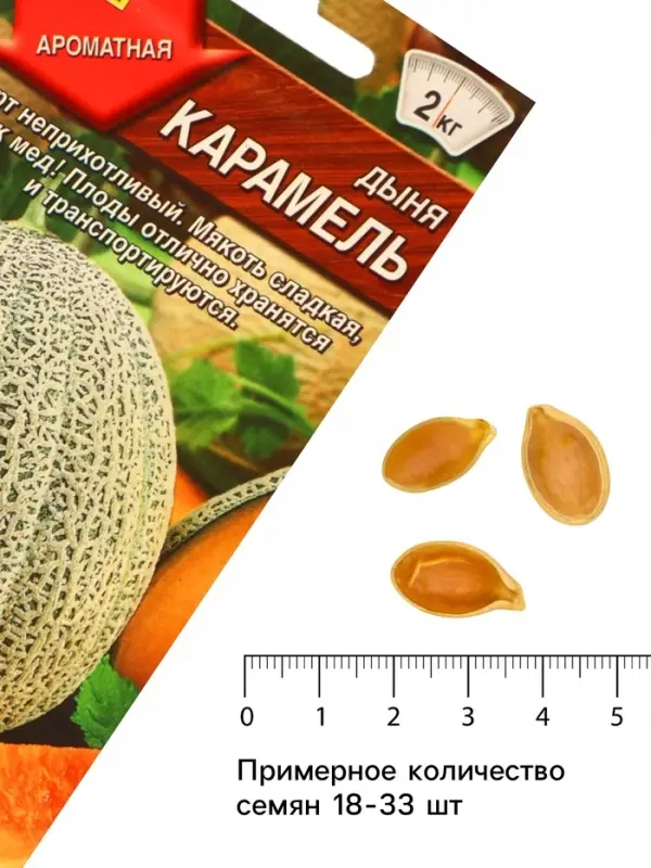 Семена Дыня &laquo;Карамель&raquo;, 1 г, &laquo;Аэлита&raquo;