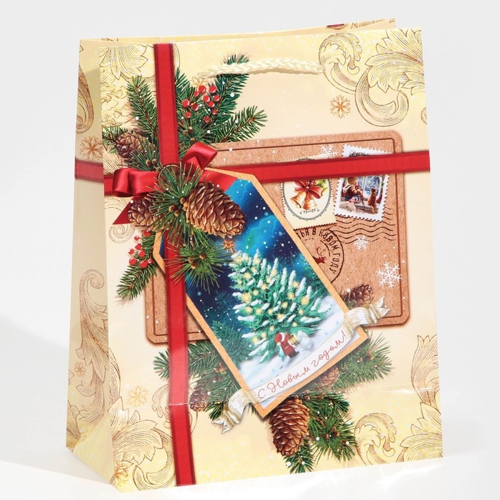 Пакет подарочный новогодний ламинированный «С Новым годом!», MS 18 х 23 х 8 см Пакет подарочный новогодний ламинированный «С Новым годом!», MS 18 х 23 х 8 см