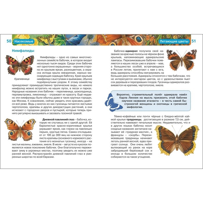 Детская энциклопедия «Насекомые» Детская энциклопедия «Насекомые»