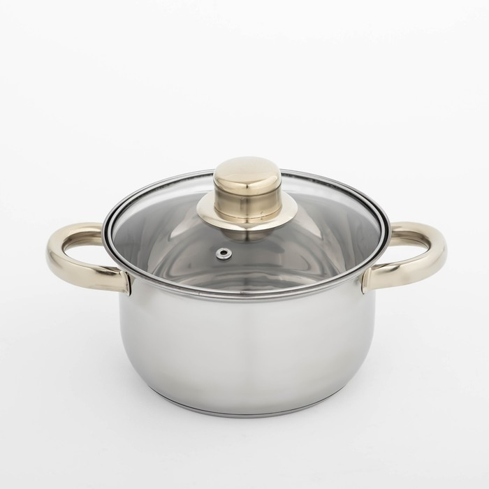 Кастрюля из нержавеющей стали с крышкой Доляна «Роскошь», 1,5 л, d=17 см Кастрюля из нержавеющей стали с крышкой Доляна «Роскошь», 1,5 л, d=17 см