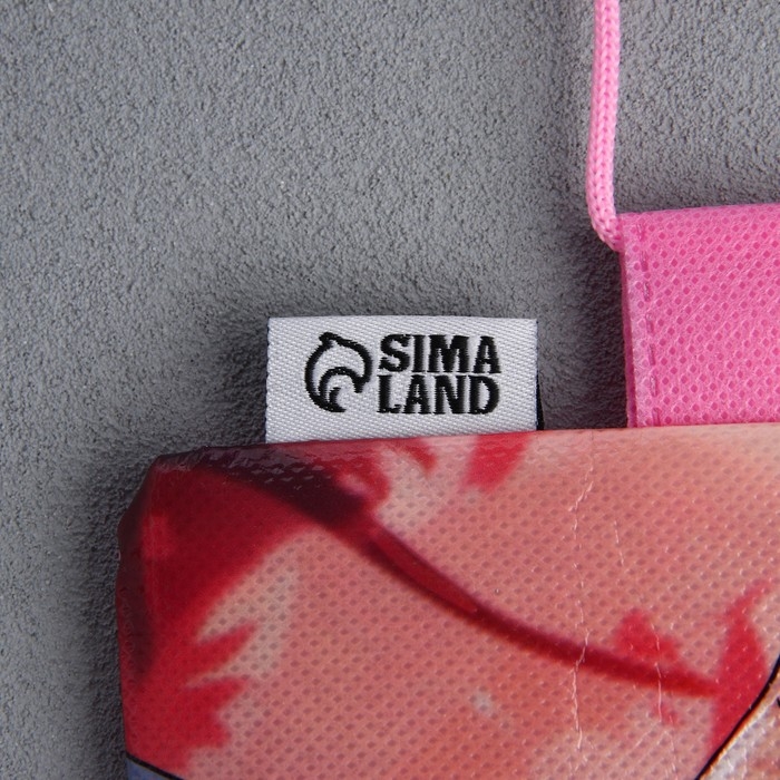 Мешок для обуви «Школьницы» полиэстер, размер 30 х 40 см Мешок для обуви «Школьницы» полиэстер, размер 30 х 40 см