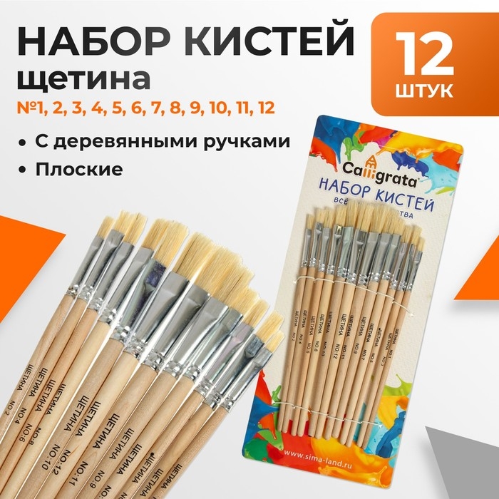 Набор кистей щетина 12 штук: № 1, 2, 3, 4, 5, 6, 7, 8, 9, 10, 11, 12, плоские Набор кистей щетина 12 штук: № 1, 2, 3, 4, 5, 6, 7, 8, 9, 10, 11, 12, плоские