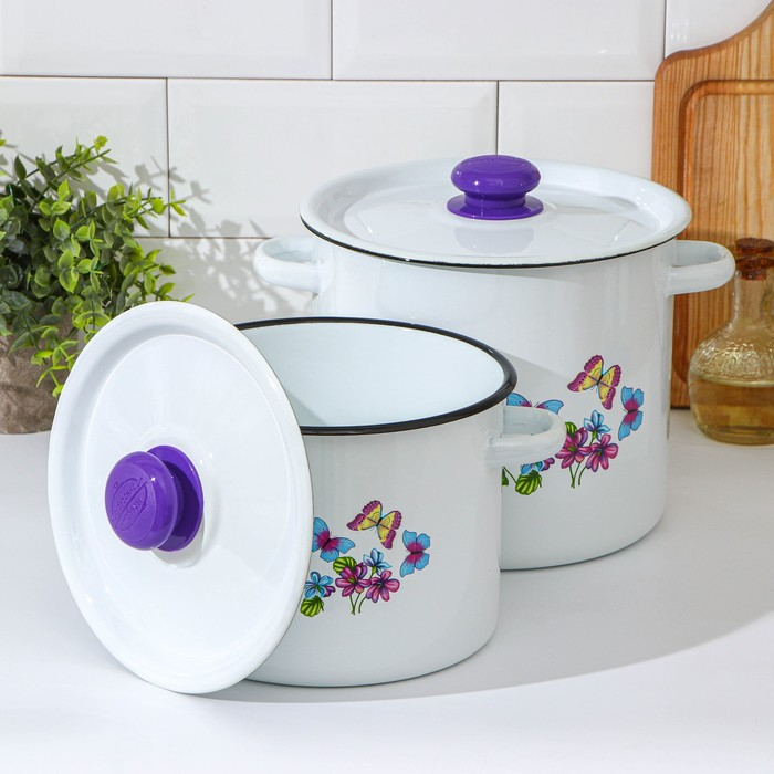 Набор кастрюль «Фиалка», 2 предмета: 3.5 л, 5.5 л, индукция, цвет МИКС Набор кастрюль «Фиалка», 2 предмета: 3.5 л, 5.5 л, индукция, цвет МИКС