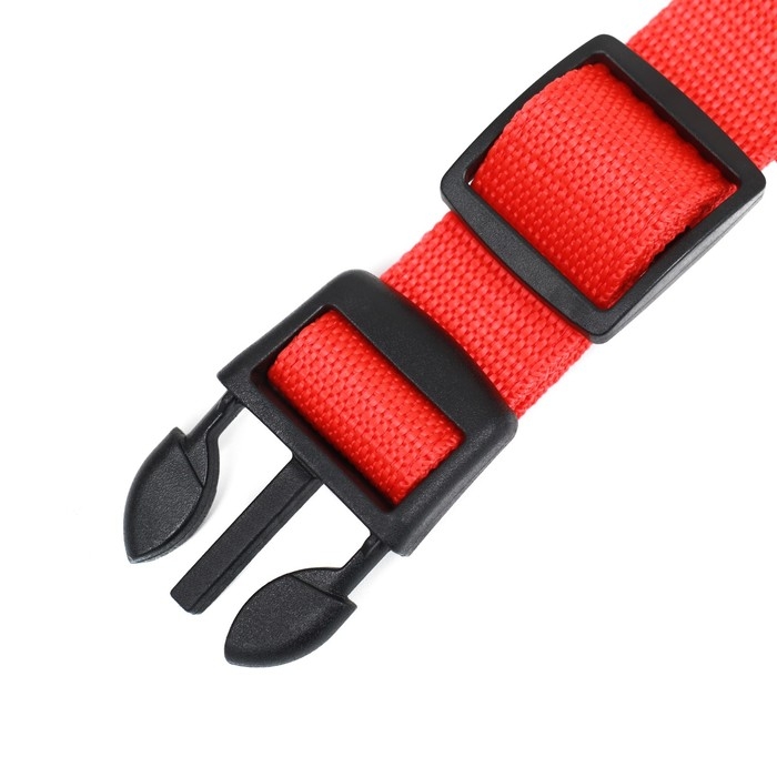 Ошейник с подсветкой Двойная полоса размер XL, ОШ 52-60 х 2,5 см, 3 режима свечения красный 97722 Ошейник с подсветкой Двойная полоса размер XL, ОШ 52-60 х 2,5 см, 3 режима свечения красный 97722