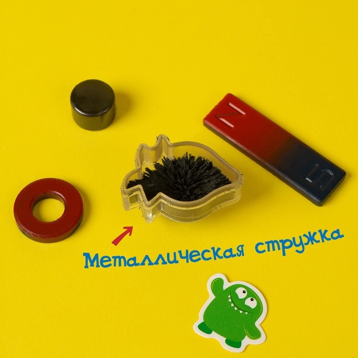 Набор для опытов «Опыты с магнитами», 6 опытов Набор для опытов «Опыты с магнитами», 6 опытов