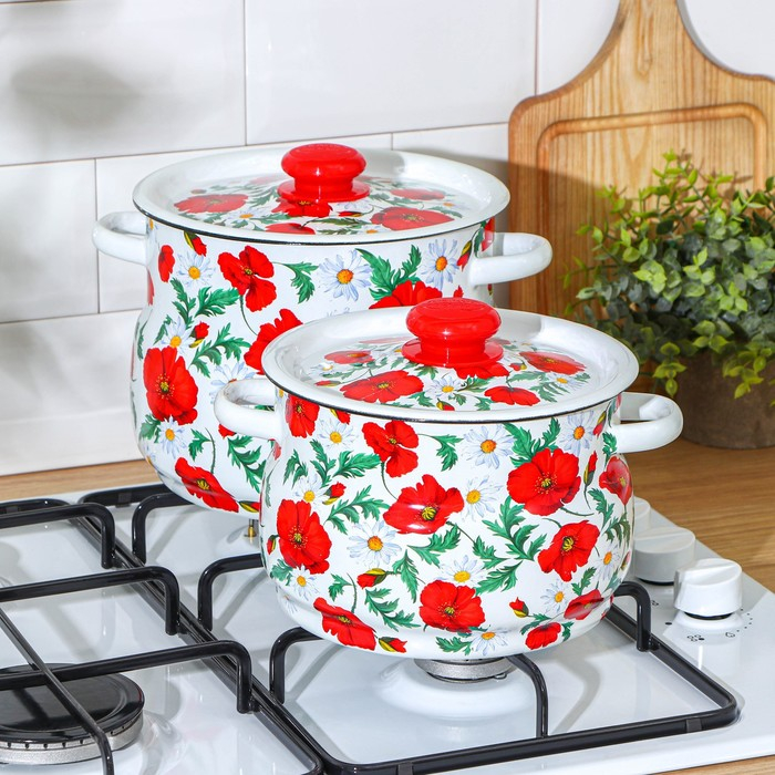 Набор кастрюль «Маки сибирские», 2 предмета: 4 л, 5.5 л, эмалированные крышки, индукция Набор кастрюль «Маки сибирские», 2 предмета: 4 л, 5.5 л, эмалированные крышки, индукция