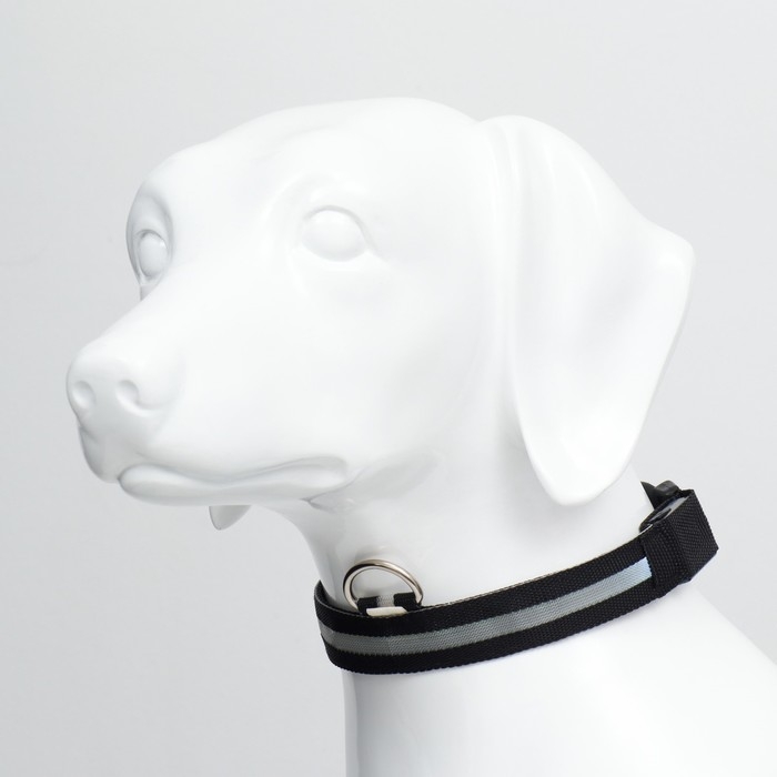 Ошейник с подсветкой размер L, ОШ 45-52 х 2,5 см, 3 режима свечения чёрный Ошейник с подсветкой размер L, ОШ 45-52 х 2,5 см, 3 режима свечения чёрный