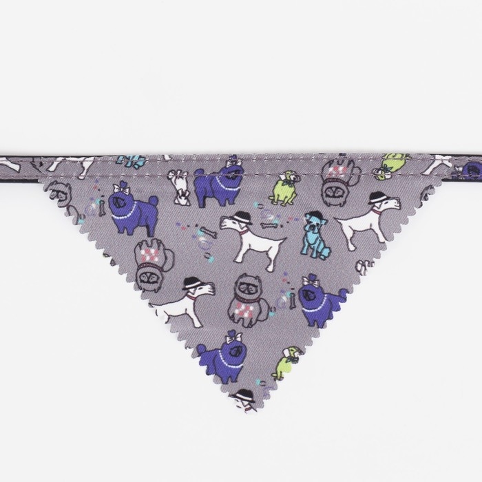 Ошейник с косынкой Ошейник с косынкой "Яркая жизнь", 32 х 1 см, серый