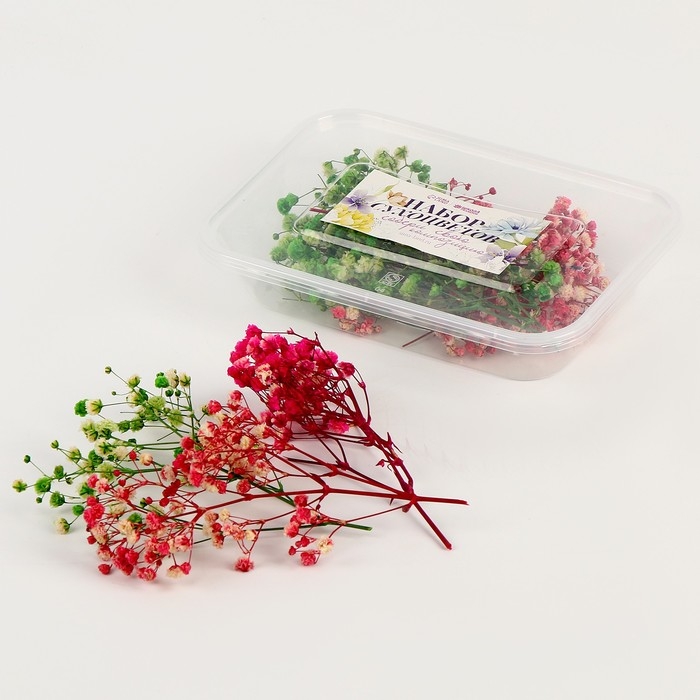 Набор сухоцветов «Гипсофилы» Набор сухоцветов «Гипсофилы»