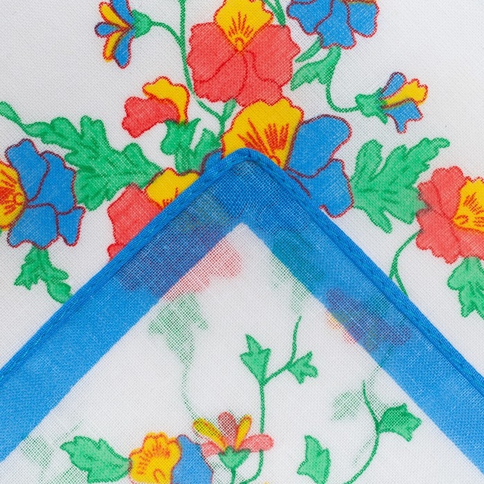 Набор женских носовых платков в коробке ЭТНИКА, 30х30, 6 шт, цвет МИКС Набор женских носовых платков в коробке ЭТНИКА, 30х30, 6 шт, цвет МИКС