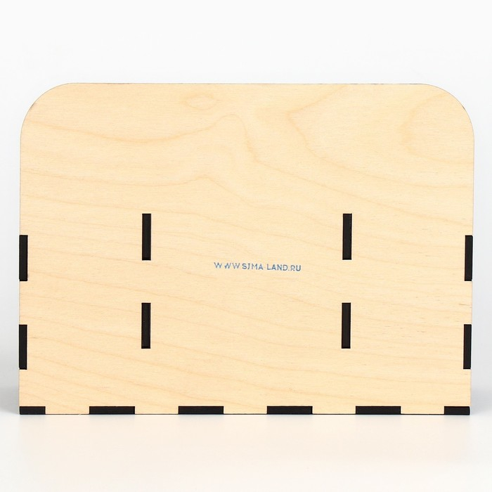 Органайзер для канцелярии «У тебя всё получится!» школьные принадлежности Органайзер для канцелярии «У тебя всё получится!» школьные принадлежности