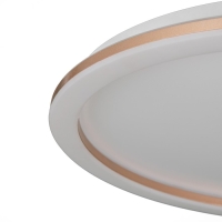 Люстра с ПДУ "Ринго" LED 62Вт 3000-6000К золото 50х50х4,5 см BayerLux