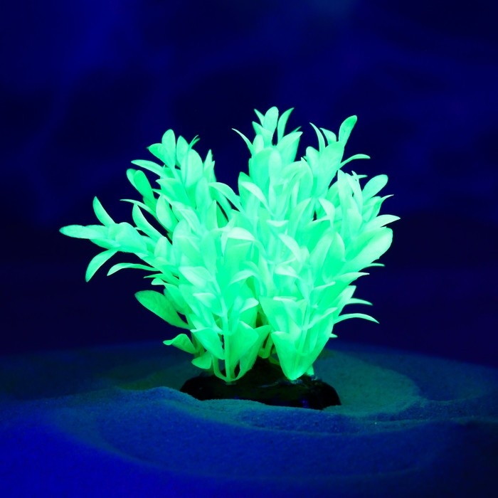Растение искусственное аквариумное, светящееся, 10 см, зелёное