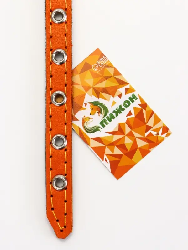 Ошейник кожаный однослойный  на  фетре неукрашенный, 1,2 см, ОШ 20-26 см,