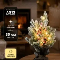 Фигура светодиодная &laquo;Зимняя хвоя&raquo; 35&times;27&times;27 см, 20 LED, батарейки AG13&times;3 (в комплекте), свечение тёплое белое