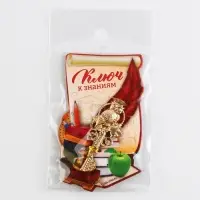 Ключ сувенирный на выпускной «Ключ к знаниям», металл, 2×4.8 см