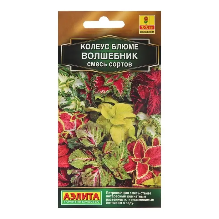 Семена Колеус  Семена Колеус "Волшебник", смесь сортов 5 шт