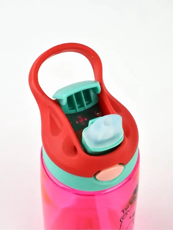 Бутылка для воды пластиковая «Ты умничка», 550 мл