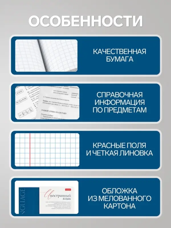 Предметная тетрадь по иностранным языкам Hatber &laquo;Буквица&raquo;, 48 листов, в клетку, со справочным материалом, обложка из мелованного картона