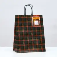 Пакет бумажный подарочный новогодний крафт «Зелёная клетка» 22×12×27 см