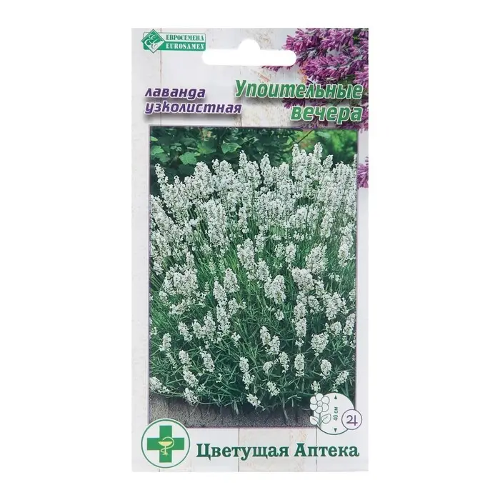 Семена Лаванда узколистная "Упоительные Вечера",  5 шт