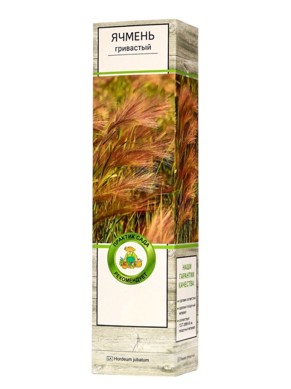 Ячмень гривастый, туба, 1 шт, Весна 2025 Ячмень гривастый, туба, 1 шт, Весна 2025