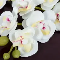 Цветы искусственные &laquo;Орхидея королевская&raquo;, 3.5&times;28 см, белые
