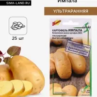 Семена Картофель &laquo;Импала&raquo;, 25 шт., &laquo;Дом семян&raquo;