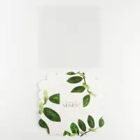 Коробка для печенья, кондитерская упаковка с пластиковой крышкой, «Эко», 18 х 18 х 3 см