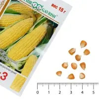 Семена Кукуруза 1+1 &laquo;Краснодарский сахарный 250&raquo;, F1, 15 г, &laquo;Гавриш&raquo;