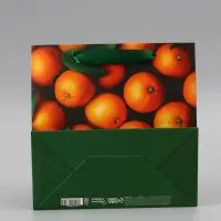 Пакет подарочный &laquo;С Новым годом&raquo;, мандарины, 22&times;22&times;11 см