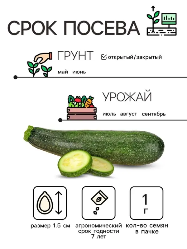 Семена Кабачок цуккини  Семена Кабачок цуккини "Фараон", 1 г