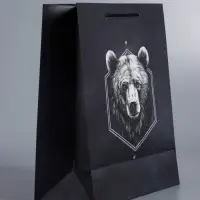 Пакет подарочный ламинированный &laquo;Мужской выбор&raquo;, чёрный, 26&times;12&times;32 см