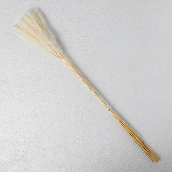 Сухоцвет &laquo;Камыш&raquo; набор 15 шт, цвет бежевый