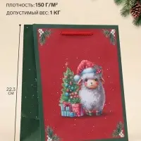 Пакет подарочный &laquo;Овечка в колпаке&raquo;, 18&times;10&times;22.3 см