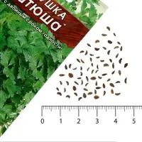 Семена Петрушка листовая &laquo;Катюша&raquo;, 2 г, &laquo;АЭЛИТА&raquo;