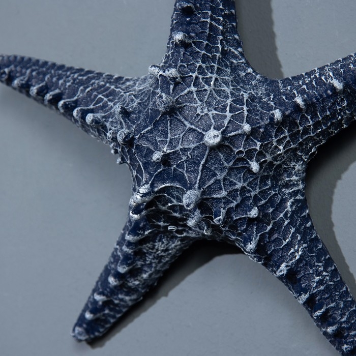 Сувенир интерьерный Сувенир интерьерный "Морская звезда" 23см