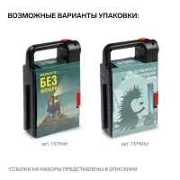Набор инструментов ТУНДРА, подарочный пластиковый кейс &laquo;Фонарь&raquo;, 21 предмет