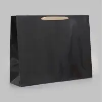 Пакет ламинированный горизонтальный, L 40&times;31&times;11.5 см, чёрный